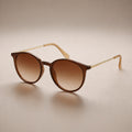 Brown Round Glasses